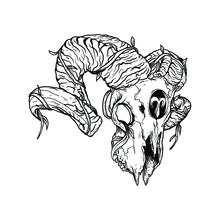 Tattoo And T-shirt Design Black And White Hand Drawn  Aries Skull Zodiac Premium Vector