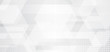 © phochi - Abstract banner web white and gray geometric hexagon overlapping technology corporate design background with halftone effect