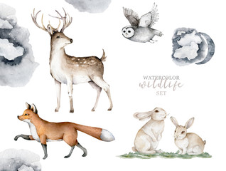 Forest animals. Realistic winter cute walking wildlife fox, deer, owl and landscape isolated illustration on white background. Vilage with wildlife. Predator, Farm