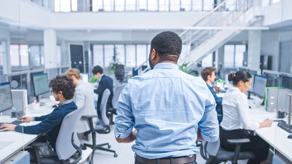 Poster - Back Shot of a Young Manager Walking Pass His Business Colleagues and Supervise Their Work. Diverse and Motivated Business People Work on Computers in Modern Open Office.