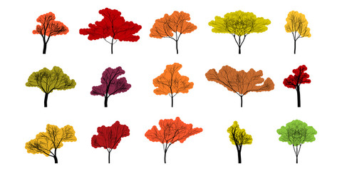 Wall Mural - tree. autumn trees different shape and color. autumn tree, isolated. trees in flat modern design. ve