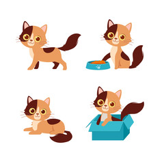 Poster - cute cat pet animal playing pose style set bundle