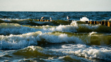 Sea Waves Crashing Against The Breakwater On Which The Seagulls Sit