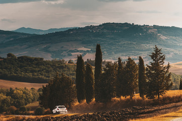 Wall Mural - Autumn fall in the Italian land