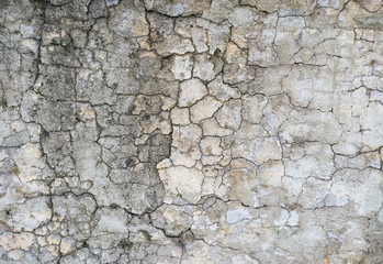 Wall Mural - Texture of gray, dirty, cracked concrete wall. Cracks background.