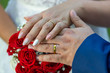 Newly married hands with wedding rings, close up