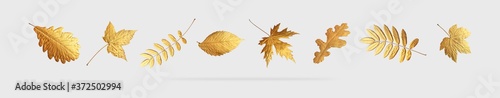 Fotografía Golden flying autumn leaves of different shapes on light gray background