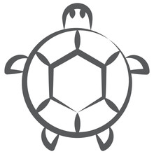 
A Freshwater Reptile With Hard Bony Shell, Turtle Icon
