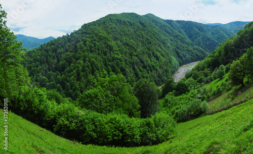 Fotomural Fisheye panorama with a hillside meadow