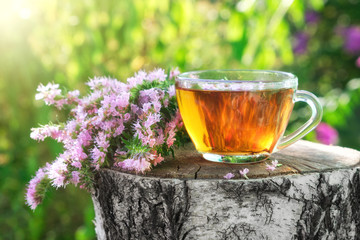 Wall Mural - Mug of healthy herbal tea with hyssop medicinal herb outdoors.