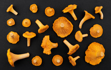 Chanterelle Mushrooms On Black Background, Top View