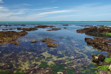 Sticker - plage de l'herbaudière