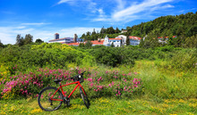 Red Bike In Front Of Wild Flowers In Mackinac Island, Michigan In Summer Time.
