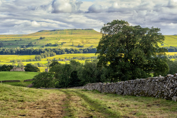 Addleborough hill above Askrigg in the Yorkshire Dales