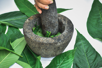 Close up shot of a gray stone traditional mortar and pestle used to grind herbs and spices in India.