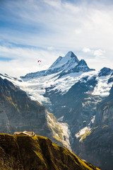 Wall Mural - Para gliders sore above the snocapped Alps mountains just above the village of Grindelwald, Switzerland.