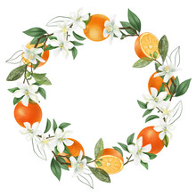Wreath Of Hand Drawn Blooming Orange Tree Branches, Orange Flowers And Oranges, Isolated Illustration On A White Background