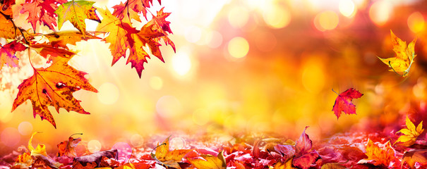 red leaves at sunset with defocused lights - abstract autumn background