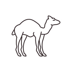 Poster - Cute camel line style icon vector design