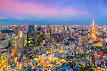 Wall Mural - Tokyo skyline  with Tokyo Tower in Japan