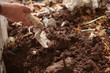 © Gabriel Trujilo/ADDICTIVE STOCK - Anonymous crop farmer with garden trowel taking soil with worms from compost pile in countryside