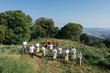 © Ivan Pujol/ADDICTIVE STOCK - From above of positive diverse chefs in aprons standing on green meadow near horses during workshop in countryside against cloudless blue sky
