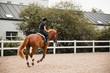 © Raquel Arocena/ADDICTIVE STOCK - Side view of female equestrian in uniform riding chestnut horse on sand arena during dressage on cloudy day