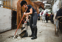 Side View Of Female Equestrian In Uniform Standing In Stable With Horse And Cleaning Floor From Manure
