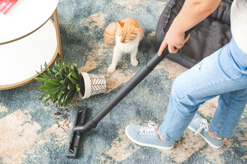 Sticker - Owner cleaning carpet after naughty cat