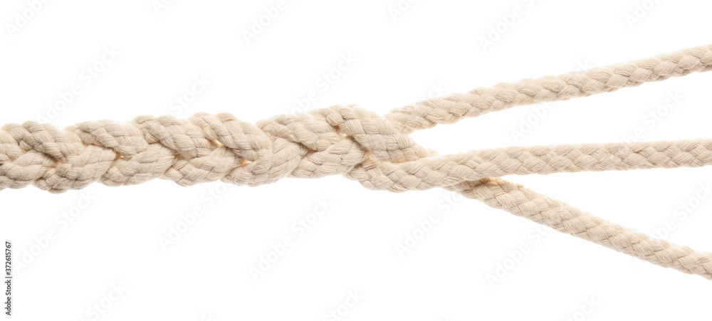 Braided rope on white background Stock Photo | Adobe Stock