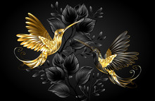 Black And Gold Hummingbird