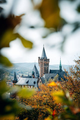 Schloss im Wald