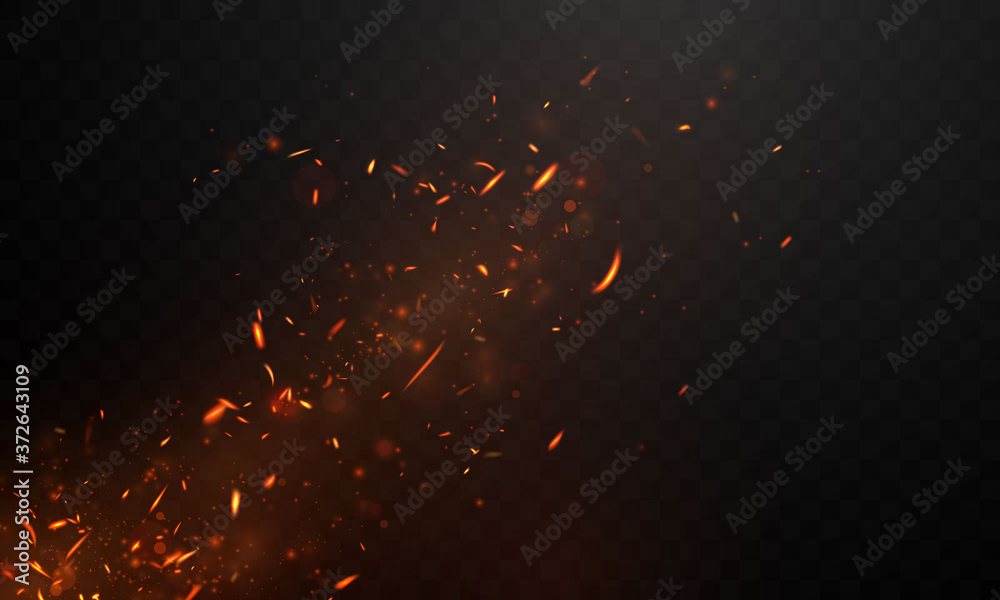 fire flames Burning red hot sparks realistic abstract background - obrazy, fototapety, plakaty 