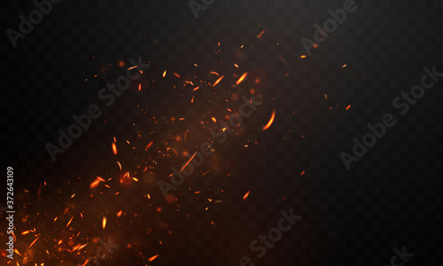 Fotomural fire flames Burning red hot sparks realistic abstract background