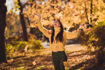 Wall Mural - Sunny weather autumn day best rest relax choice. Positive girl imagine she kid throw catch fall fly maple yellow leaves in town center woods park outdoors wear knitted pullover sweater