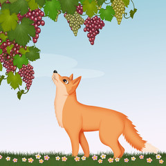 Wall Mural - illustration of fox and grapes