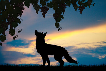 Naklejka na meble illustration of silhouette of fox and grapes