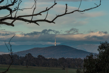 Black Mountain Tower and the Brindabella Range from Goorooyarroo Nature Reserve, ACT