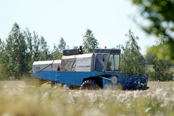 Combine harvester working on a wheat field. Lithuania