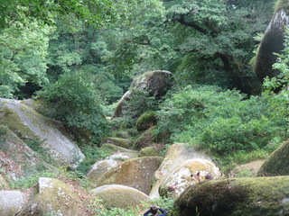 Wall Mural - Forêt de Huelgoat, Chaos granitique, Huelgoat, Finistère, Bretagne, France