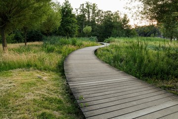 Wooden path leading to a mysterious greenwood.