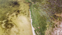 Top View Of A Beautiful Shallow Lake And Its Coastline With Sand And Grass