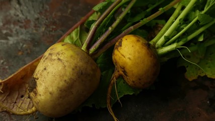 Canvas Print - Turnip with haulm on the black rustic background