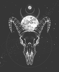 Wall Mural - Modern magic witchcraft taros card with animal skull  and full moon on outer space background. Vector illustration