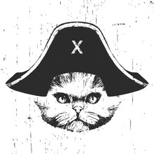 Portrait Of Persian Cat With A Pirate Hat. Vector. 