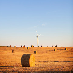 Wall Mural - straw bales in late evening light on countryside of french normandy near calais and boulogne