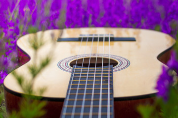 Wall Mural - Guitar in flowers