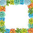 © lolya1988 - Floral Border. Succulents arranged un a shape of frame