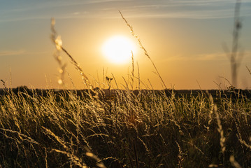 Sticker - Sunset view over the field in Loire Valley France