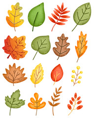 Set of autumn leaves of oak, maple, rowan, birch isolated on white background.